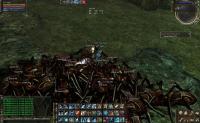 Bugs lineage 2 pharmim queen bug, porti adena - portal despre linia 2