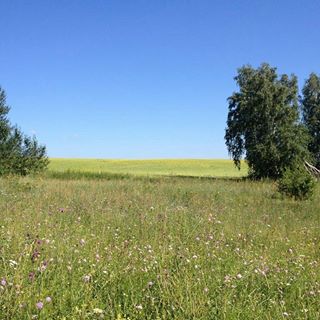 Biomes Vita anti-age gyógyszer (@biome_vita) - ligaviewer legjobb szolgáltatást megtekintéséhez Instagram