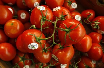Великі, червоні і позбавлені смаку чому помідори втратили свій аромат