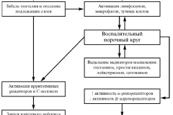 Bronchitis etiológiája és patogenezise