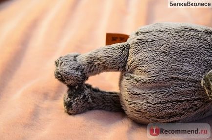 Budi basa macska Basik - „a szeretet, a takarmány és a fésű! Hihetetlen macska, képes megolvasztani olyan (budi) Budi basa macska Basik - „a szeretet, a takarmány és a fésű! Hihetetlen macska, képes megolvasztani bármilyen