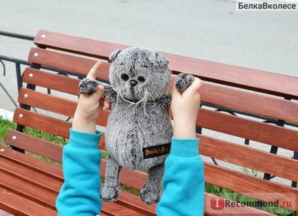 Budi basa macska Basik - „a szeretet, a takarmány és a fésű! Hihetetlen macska, képes megolvasztani olyan (szerelem) Budi basa macska Basik - „a szeretet, a takarmány és a fésű! Hihetetlen macska, képes megolvasztani bármilyen