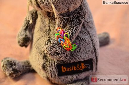 Budi basa macska Basik - „a szeretet, a takarmány és a fésű! Hihetetlen macska, képes megolvasztani olyan (Basik) Budi basa macska Basik - „a szeretet, a takarmány és a fésű! Hihetetlen macska, képes megolvasztani bármilyen