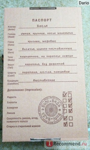 Budi basa кіт басик - «тепер у нас є і кіт басик! Він навіть краще, ніж зайка ми, хоча я раніше