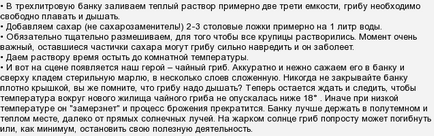 Чайний гриб, особливості догляду та приготування напою з нього