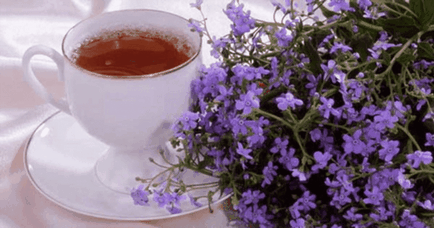 Tea kakukkfű felhasználását, összetételét, receptek, hogyan kell főzni