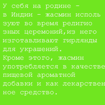 Квітка жасмин, кімнатні рослини