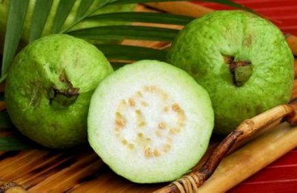 Feijoa - crescând acasă