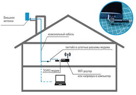 Internet într-o casă privată, ooo - companie - vector