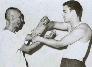 Nagymester Ip Man Wing Chun