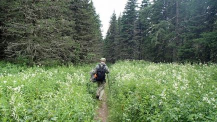 Iunie excursie la mare iremel, de-a lungul căilor de sud Ural