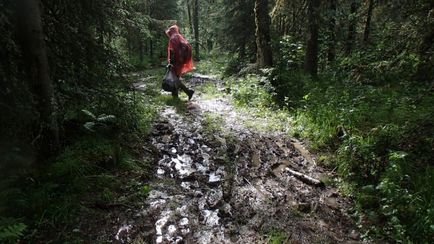 Iunie excursie la mare iremel, de-a lungul căilor de sud Ural