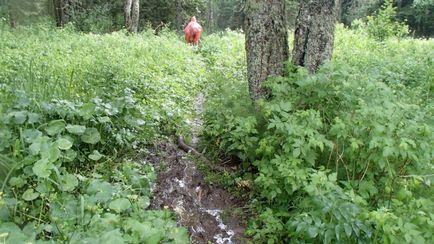 Iunie excursie la mare iremel, de-a lungul căilor de sud Ural