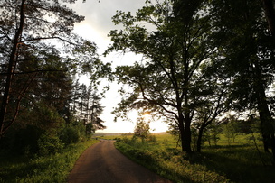 Cum se fac fotografii pe setările aparatului foto canon eos 6d