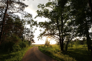 Cum se fac fotografii pe setările aparatului foto canon eos 6d