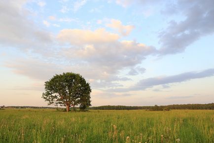 Cum se fac fotografii pe setările aparatului foto canon eos 6d