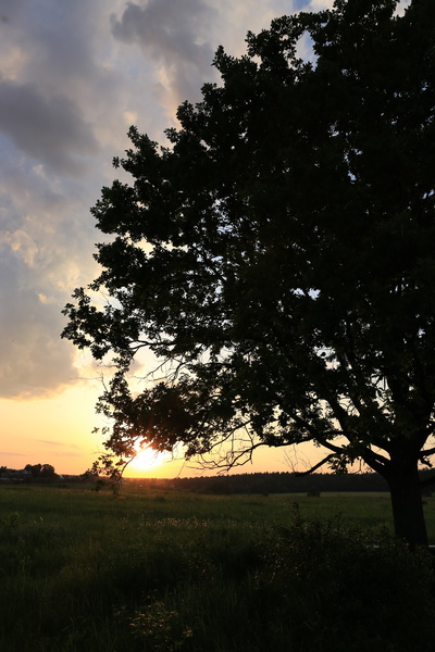 Cum se fac fotografii pe setările aparatului foto canon eos 6d