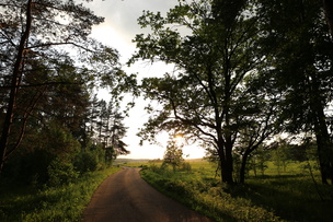 Cum se fac fotografii pe setările aparatului foto canon eos 6d