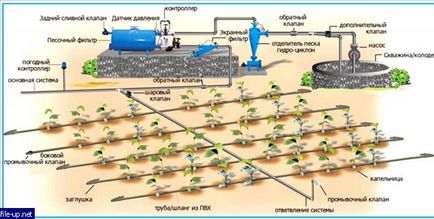 Cum de a crește presiunea în sistemul de irigare pe baza rezervoarelor de apă - forum de vacanță