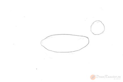 Cum de a desena o lecție de vulpe - desen