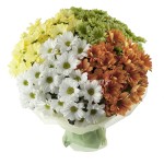 Cum sa combini crizantemele intr-un buchet, un blog al unui florar si decorator