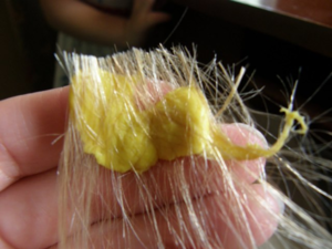 Як прибрати жуйку з волосся що робити, якими способами очищати волосся від жувальної гумки