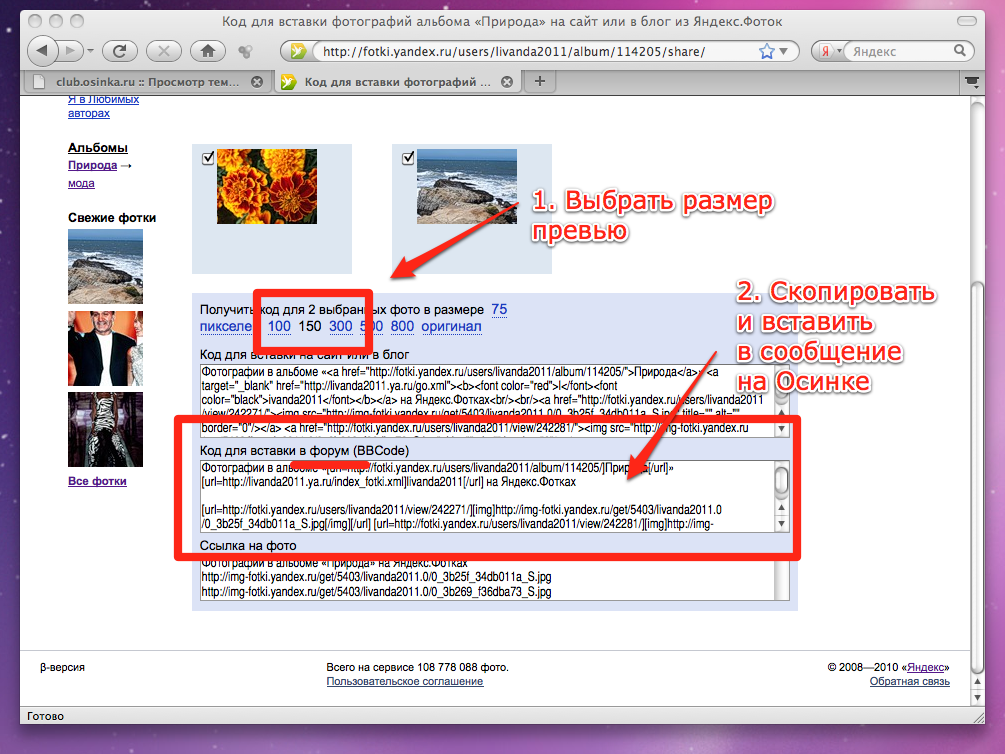 Як вставити фотографії на осинки через яндекс-фотки