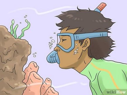 Cum să protejați recifele de corali