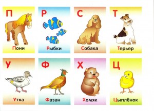 Cartele cu literele alfabetului rus