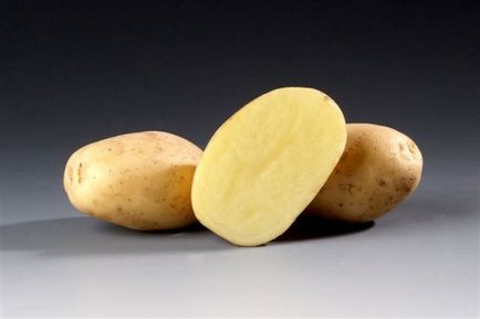 Картопля - сантана - опис сорту, детальна характеристика і фото