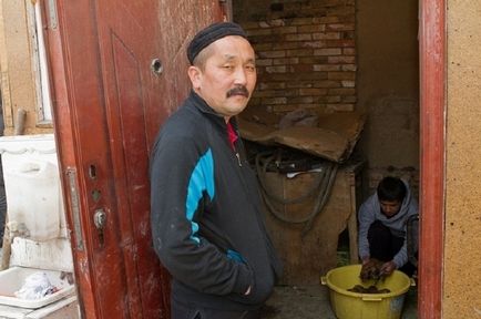 Казахська хорт, новини в фото