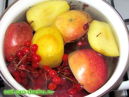 Compote de viburnum și mere pentru a crește imunitatea