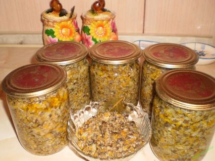 Konzerv gombát otthon, receptek üvegekbe a téli, a finom kis kék hagyma, (feltételek) Konzerv gombát otthon, receptek üvegekbe a téli, a finom kis kék masnival,