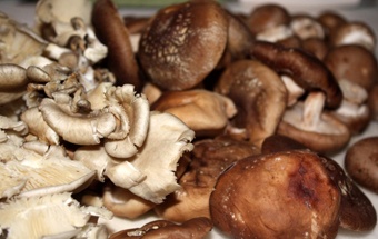 Консервовані смажені гриби - заготовки на зиму - кулінарія, рецепти - бібліотека - сімейна