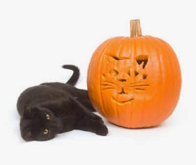 Pisici și Halloween - semne, credințe și daruri, orașul pisicilor
