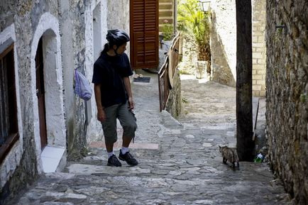 Town Cats (Muntenegru)