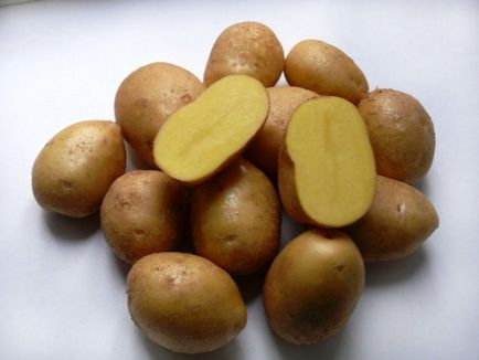 Кращі сорти картоплі для сибіру фото опис, відгуки