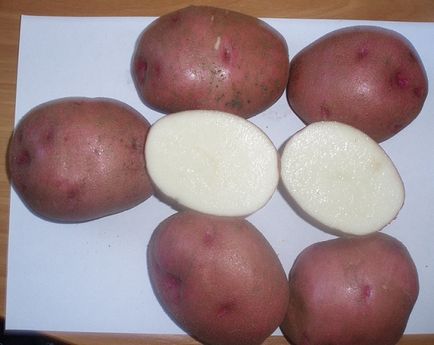 Cele mai bune sortimente de cartofi pentru descrierea fotografiei siberia, recenzii