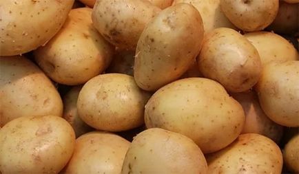 Кращі сорти картоплі для сибіру фото опис, відгуки