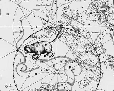 Ursul mic (constelația)