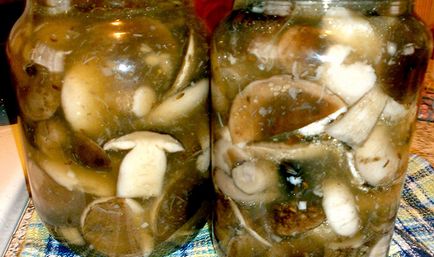 Marinate ciuperci pentru retete de iarnă cu oțet 9% și 70%, modalități de preparare a marinatelor