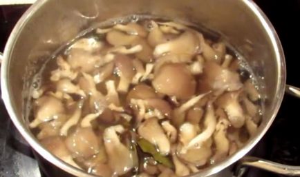 Мариновані білі гриби на зиму рецепти з оцтом 9% і 70%, способи приготування маринадів