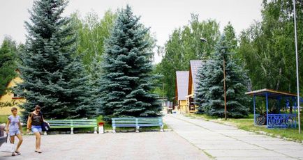 Ведмежий кут (база відпочинку на озері Увільди)