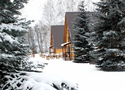 Ведмежий кут (база відпочинку на озері Увільди)