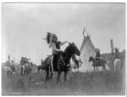 Mustangs - vadlovak