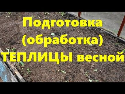 Обробка теплиці з полікарбонату навесні і восени від хвороб і шкідників перед посадкою