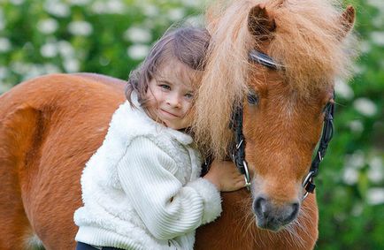 Образ коня в інтер'єрі дитячої, http