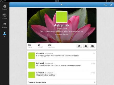 Privire de ansamblu asupra clientului twitter oficial pentru ipad