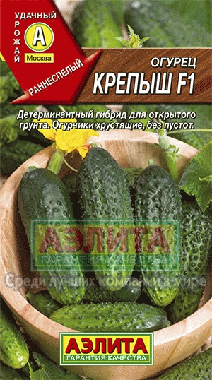 Castraveți krepysh f1 cumpăra semințe de producători de en-gros și de vânzare cu amănuntul de castraveți