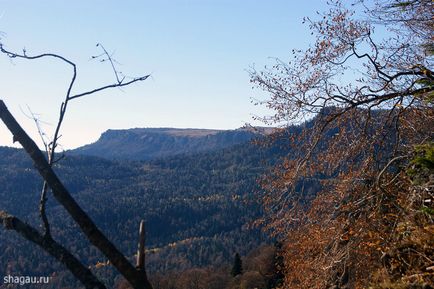 Descoperiți lumea minunată a lago-naki din Adygea